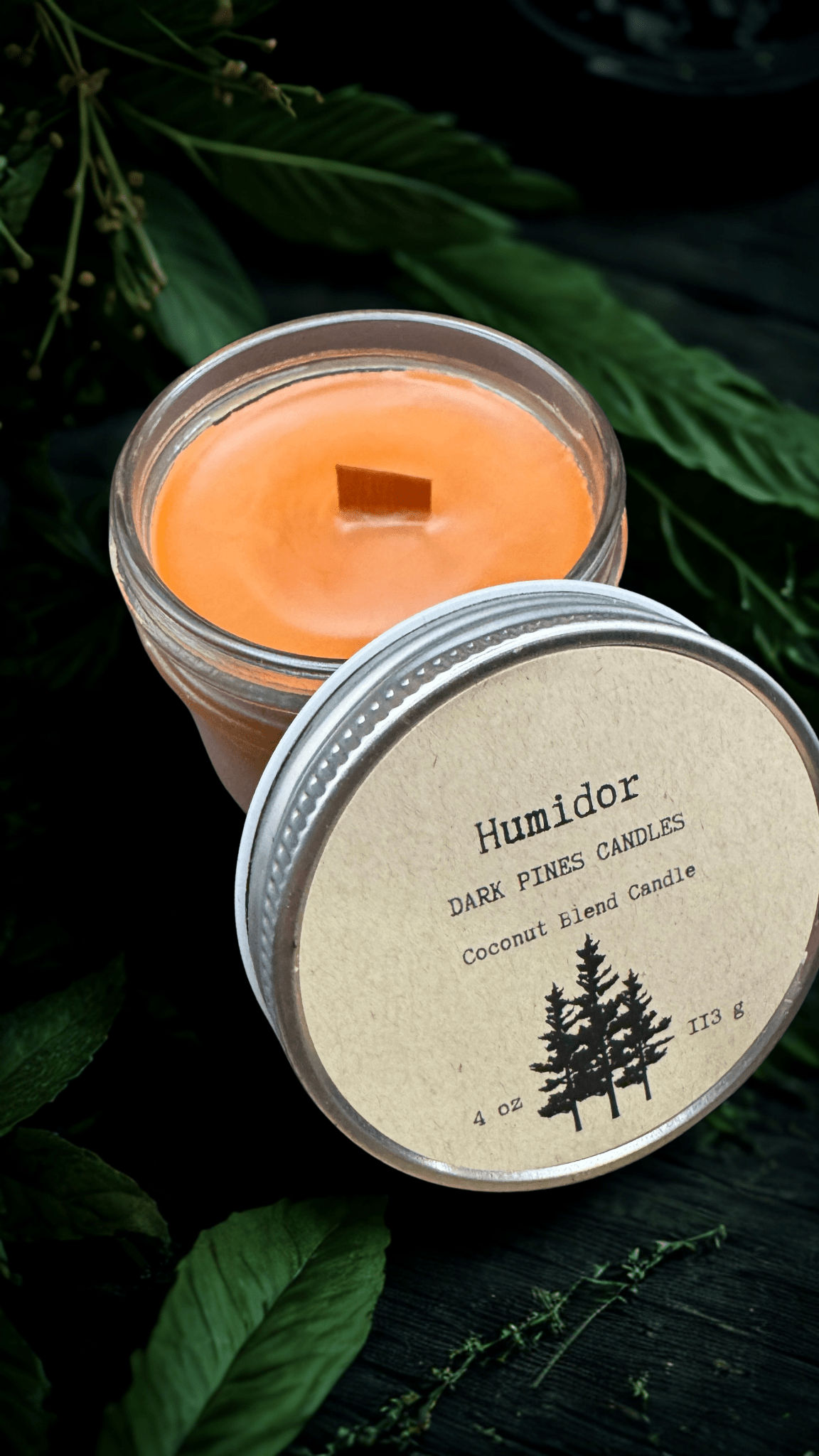 Humidor - Dark Pines Candles
