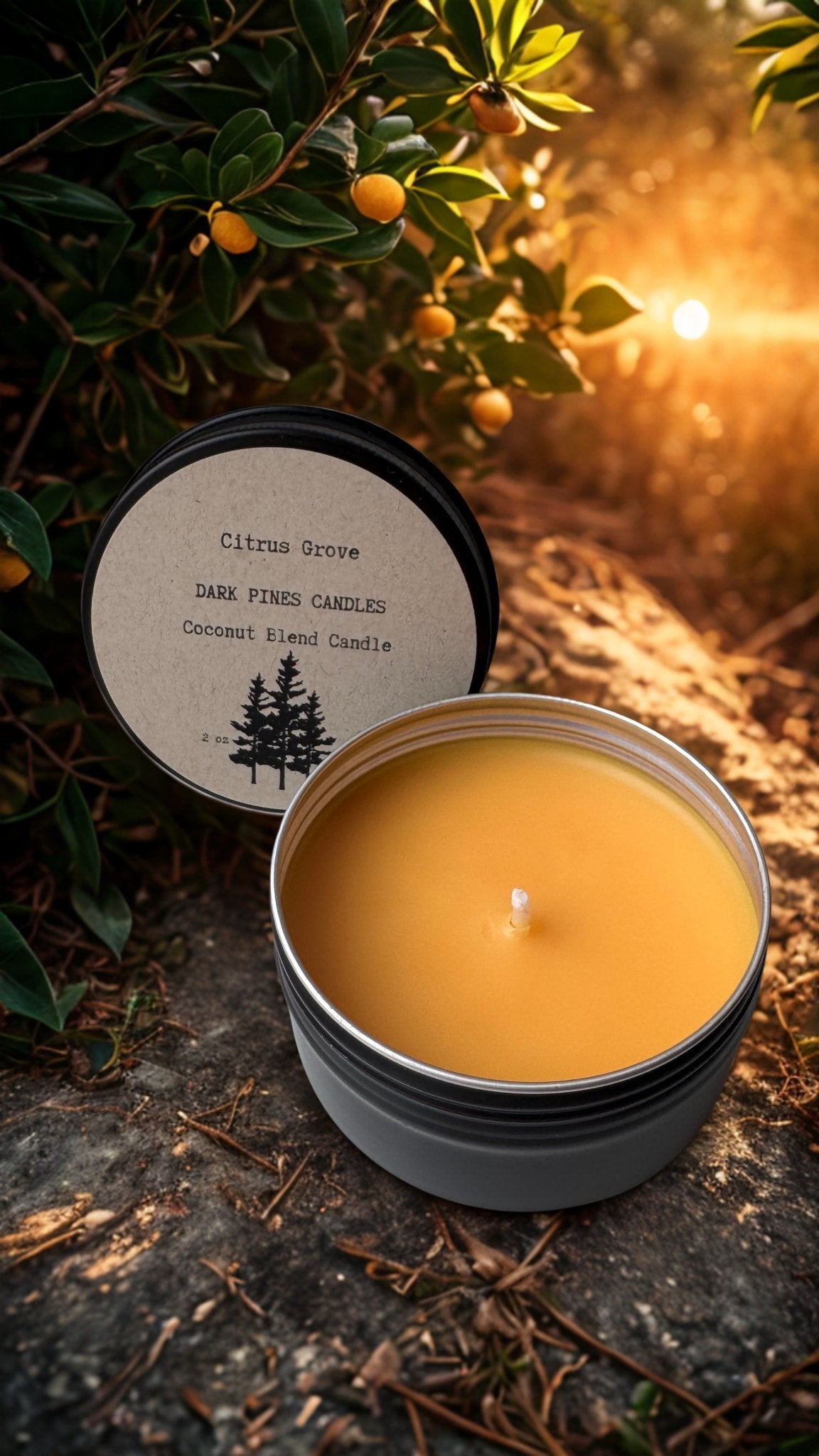 No. 02 Citrus Grove 2 oz Discovery Tin - Dark Pines Candles