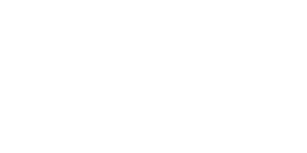 Dark Pines Candles 