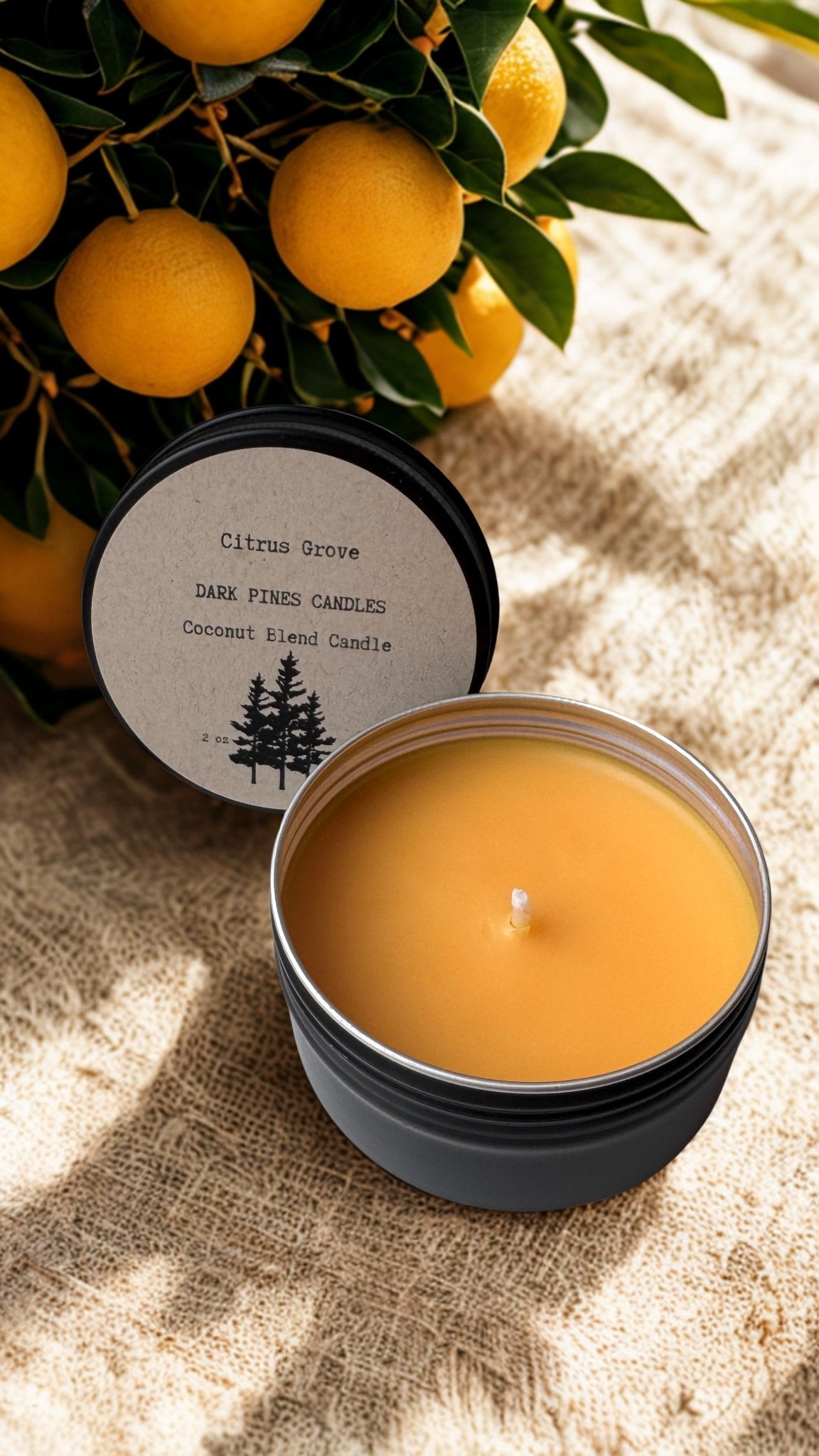 No. 02 Citrus Grove 2 oz Discovery Tin - Dark Pines Candles