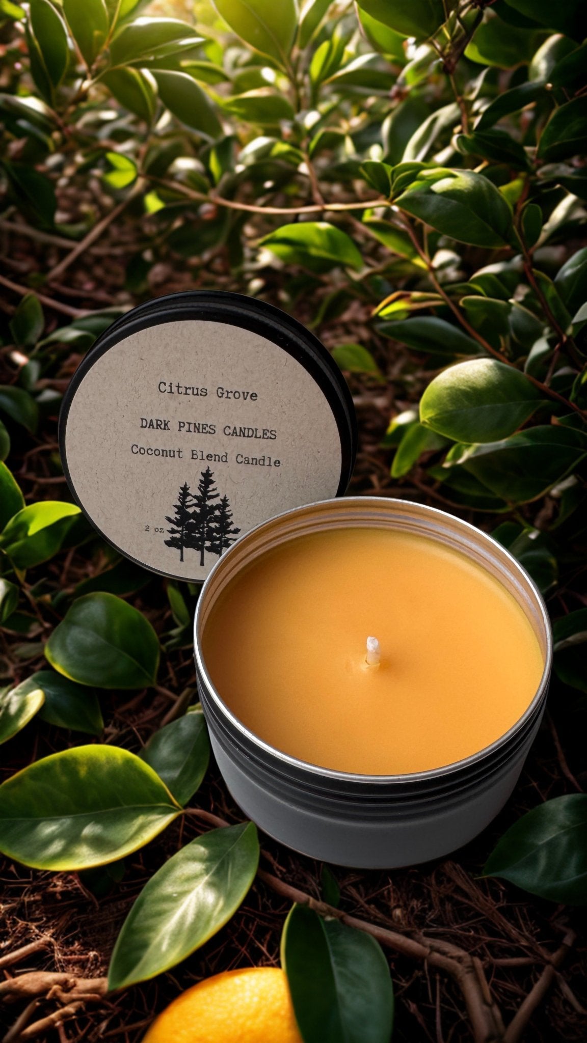 No. 02 Citrus Grove 2 oz Discovery Tin - Dark Pines Candles